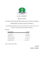 Group2B Siminar.pdf